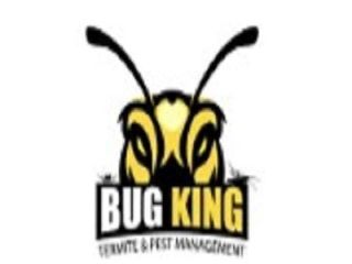 the-bug-king-small-0