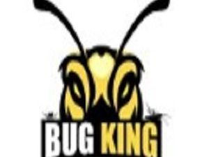 the-bug-king