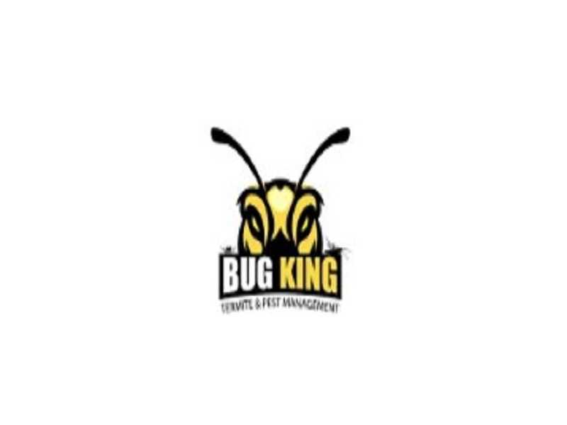 the-bug-king-small-0