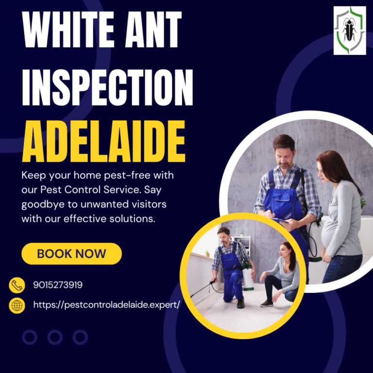 best-cockroach-control-adelaide-trusted-pest-control-experts-big-0