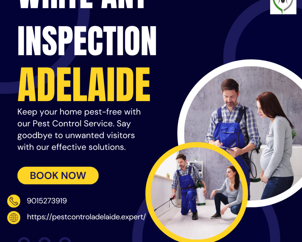 best-cockroach-control-adelaide-trusted-pest-control-experts