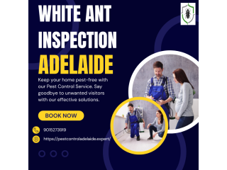 best-cockroach-control-adelaide-trusted-pest-control-experts-small-0