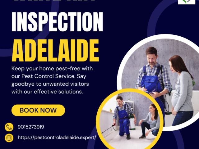 best-cockroach-control-adelaide-trusted-pest-control-experts