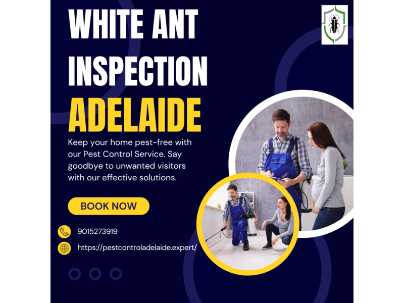 best-cockroach-control-adelaide-trusted-pest-control-experts-small-0