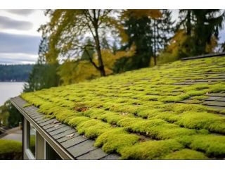 roof-cleaning-adelaide-small-0
