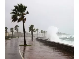 storm-damage-restoration-sydney-247-emergency-response-small-4