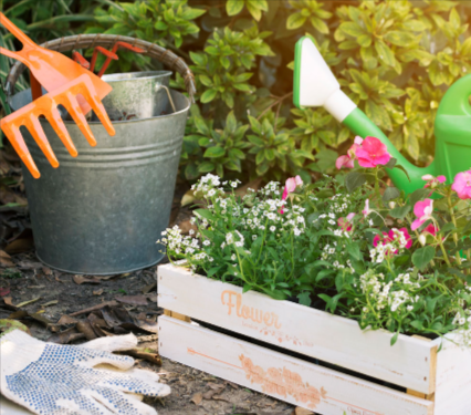 reliable-ndis-gardening-services-canberra-book-now-big-0