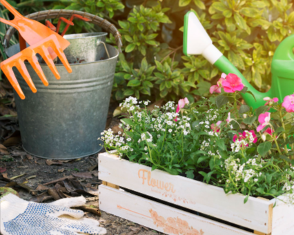 reliable-ndis-gardening-services-canberra-book-now