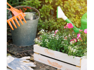 reliable-ndis-gardening-services-canberra-book-now-small-0