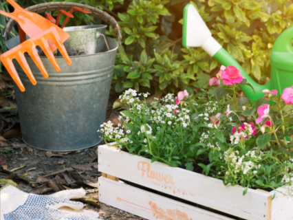 reliable-ndis-gardening-services-canberra-book-now