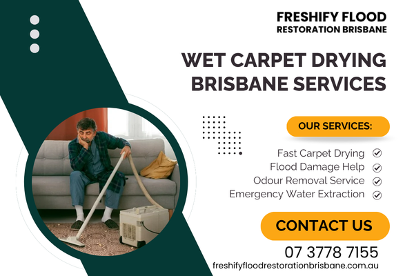 wet-carpet-drying-brisbane-services-big-0