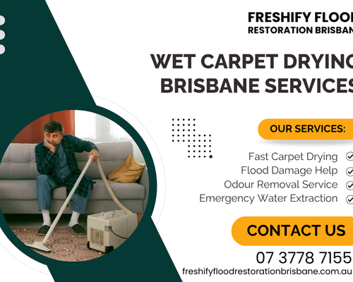 wet-carpet-drying-brisbane-services
