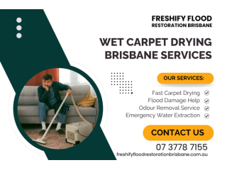 wet-carpet-drying-brisbane-services-small-0
