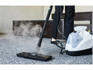 carpet-steam-cleaning-services-small-0