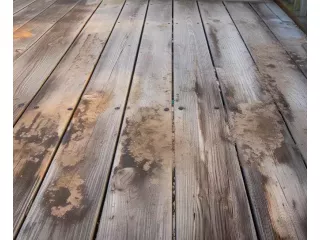 timber-floor-water-damage-repair-sydney-emergency-small-3