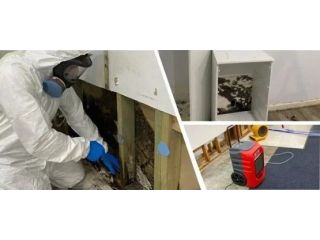 want-safe-and-effective-mould-cleaning-service-today-small-0