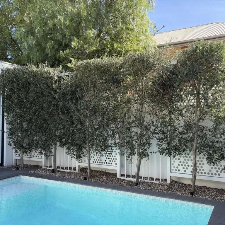 get-the-perfect-faux-olive-tree-for-your-decor-big-0