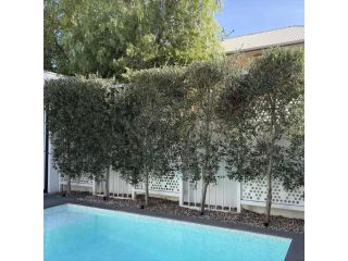 get-the-perfect-faux-olive-tree-for-your-decor-small-0