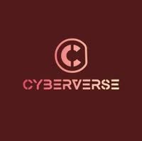 cyberverse-pty-ltd-big-0