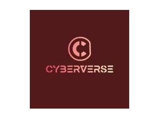 cyberverse-pty-ltd-small-0