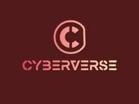 cyberverse-pty-ltd