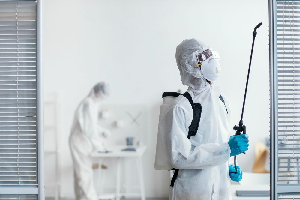 termite-inspection-gold-coast-big-0