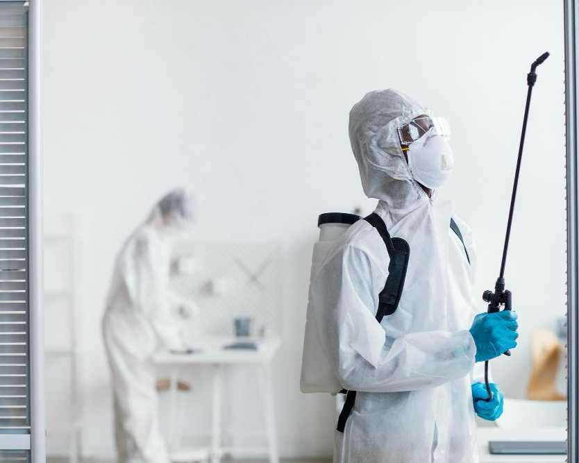 termite-inspection-gold-coast