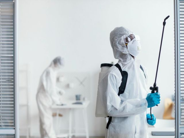 termite-inspection-gold-coast