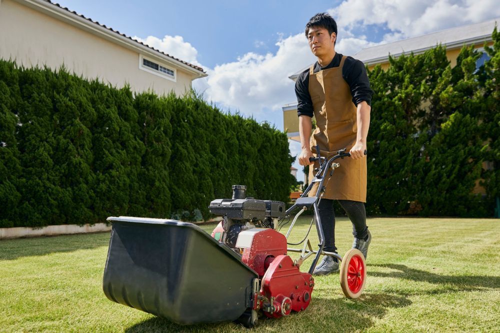 how-strata-cleaning-services-ensure-reliable-lawn-cutting-tools-big-0