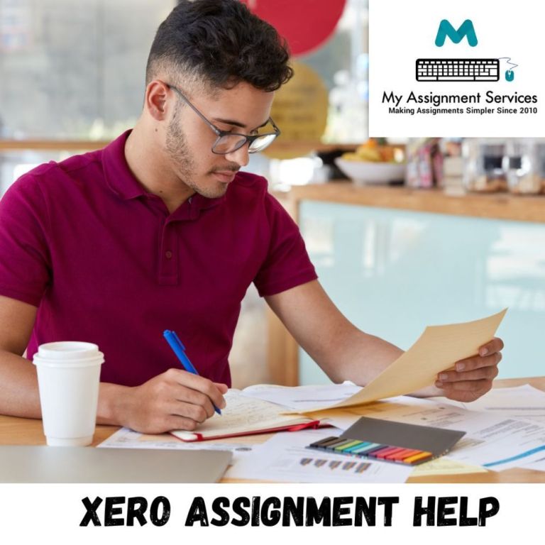 professional-xero-assignment-help-for-accounting-big-0
