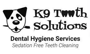 dog-teeth-cleaning-melbourne-k9tooth-solutions-big-0