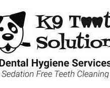 dog-teeth-cleaning-melbourne-k9tooth-solutions