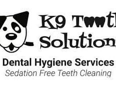 dog-teeth-cleaning-melbourne-k9tooth-solutions