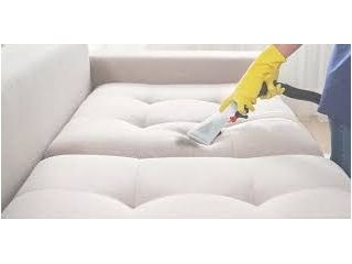 professional-couch-cleaning-brisbane-for-homes-offices-ezydry-small-0