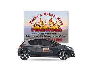 looking-for-car-door-magnets-small-0