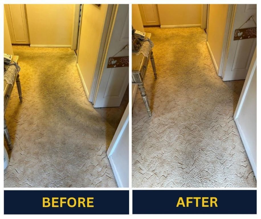 best-carpet-cleaning-company-in-adelaide-big-0