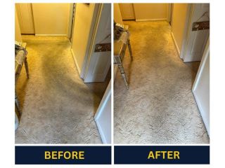 best-carpet-cleaning-company-in-adelaide-small-0