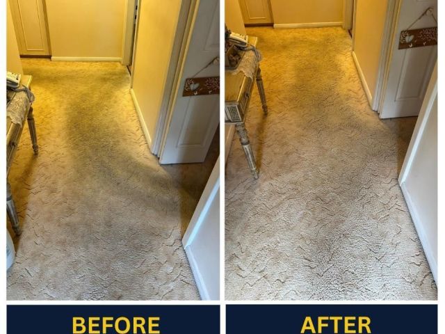 best-carpet-cleaning-company-in-adelaide