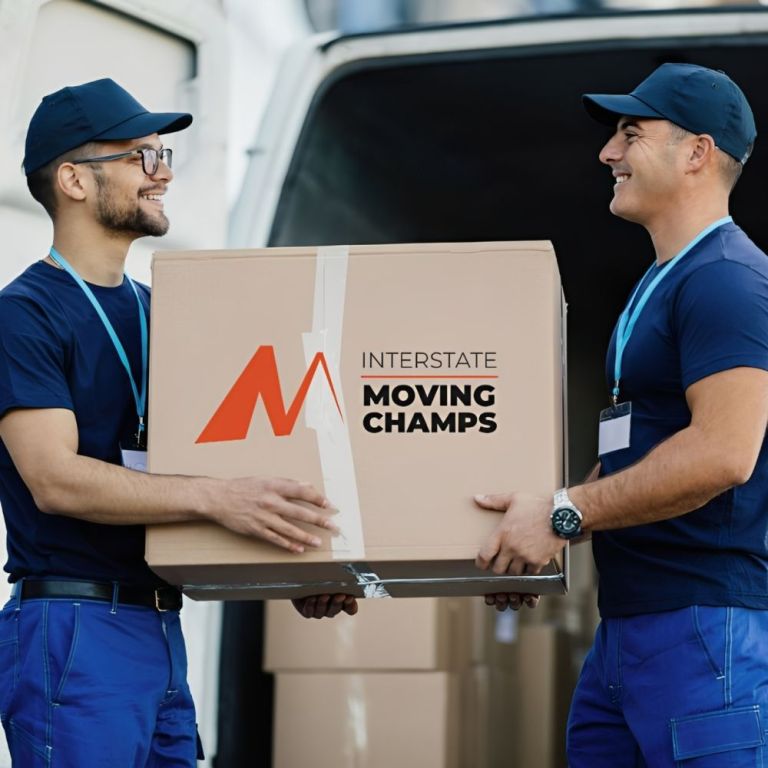 reliable-melbourne-to-albury-removalists-services-big-0
