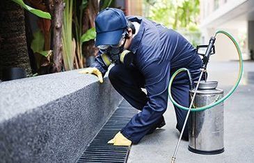 pest-control-bankstown-big-0