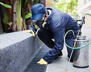 pest-control-bankstown