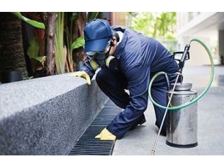 pest-control-bankstown-small-0