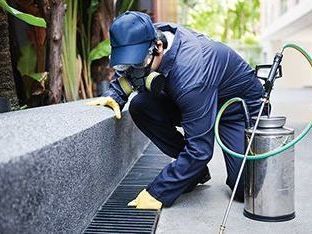 pest-control-bankstown