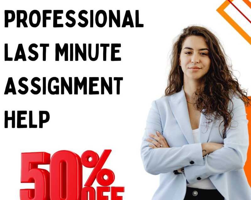 professional-last-minute-assignment-help-with-50-off