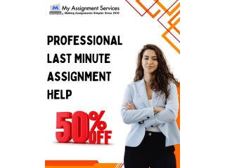 professional-last-minute-assignment-help-with-50-off-small-0