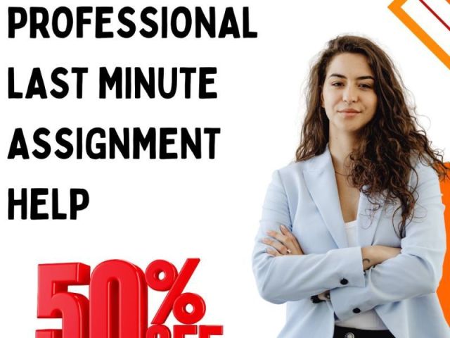 professional-last-minute-assignment-help-with-50-off