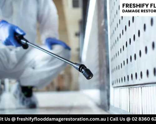 mould-remediation-sydney-emergency-service