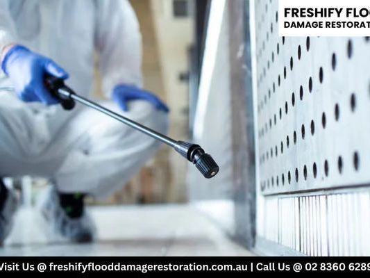 mould-remediation-sydney-emergency-service