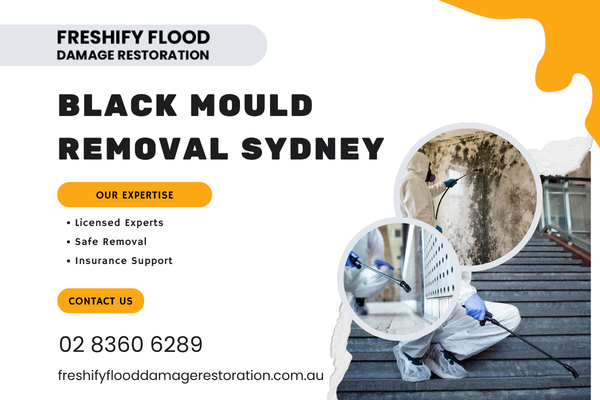 black-mould-removal-sydney-licensed-experts-big-0