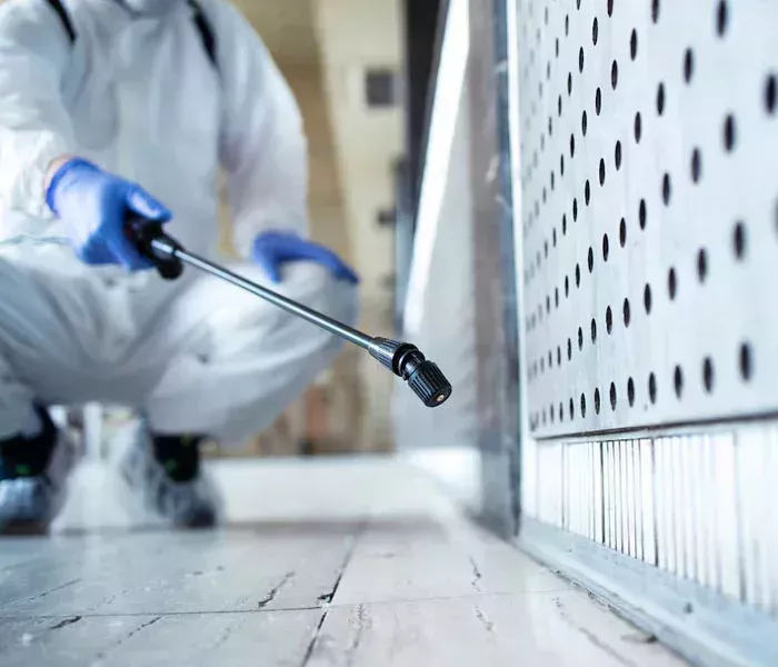 black-mould-removal-sydney-licensed-experts-big-1